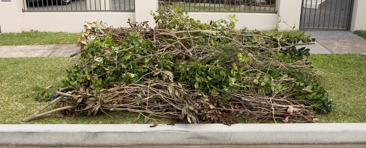 Green garden waste